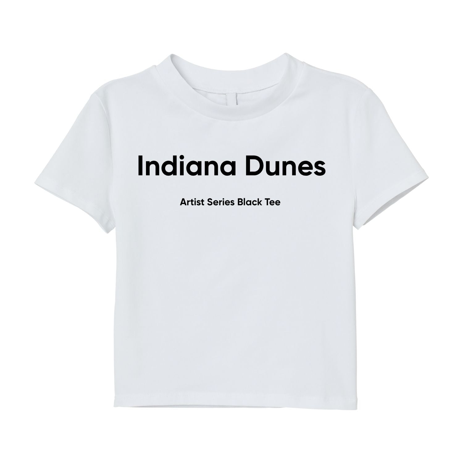 Indiana Dunes — Artist Series Black Tee