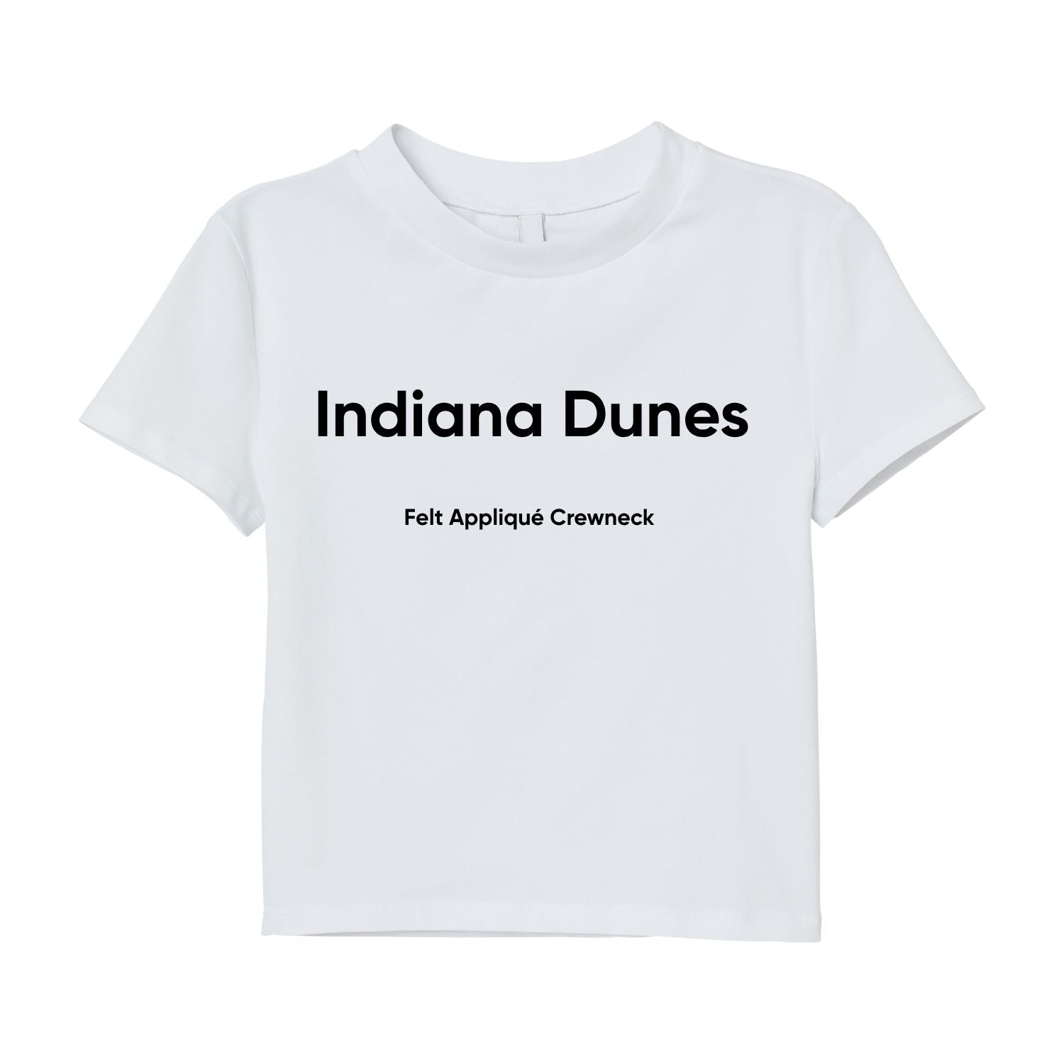 Indiana Dunes —  Felt Appliqué Crewneck