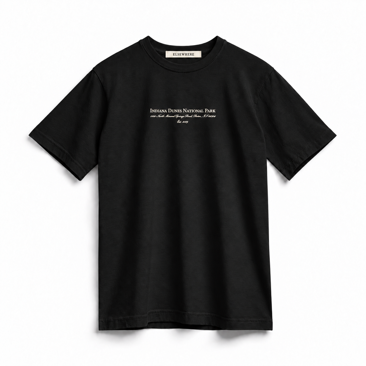 Indiana Dunes Artifact Tee